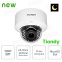 IP Camera 2MP Dome Starlight 2.8-12mm Motorized Video Analysis WDR - Tiandy