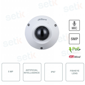 Caméra dôme DAHUA IPC-EB5541-AS 5MP - WizMind Fisheye Network - CMOS 1 / 2.7