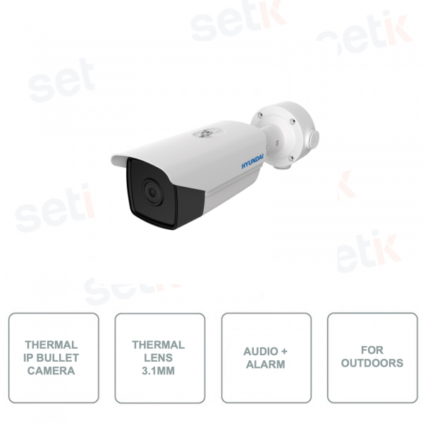 HYUNDAI - HYU-660 - Thermokugelkamera für den Außenbereich - In-Out-Alarm - Audio-In-Out - Intelligenter VCA-Lift - POE