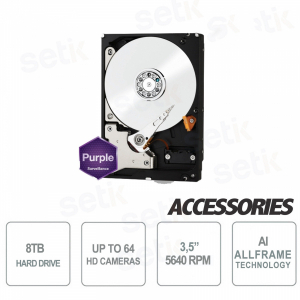 Hard Disk Interno 8 TB Audio Video SATA 3.5" AllFrame 4K - WD