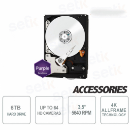 Internal Hard Disk 6 TB Audio Video SATA 3.5 "AllFrame 4K - WD