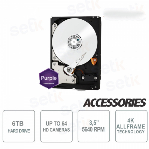 Hard Disk Interno 6 TB Audio Video SATA 3.5" AllFrame 4K - WD