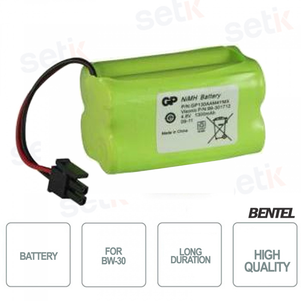 Batterie für Bentel Central BW-30