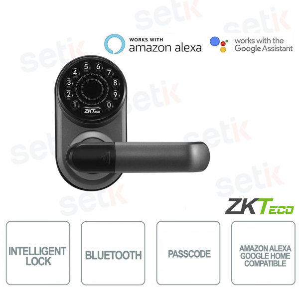 ZKTECO - Intelligentes Türschloss - Bluetooth - Kompatibel mit Amazon Alexa und Google Home