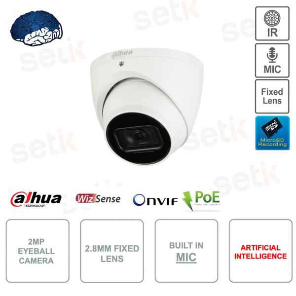 Caméra Eyeball IP PoE ONVIF® - 2MP - 2.8mm fixe - Intelligence Artificielle - Microphone - IR 50m