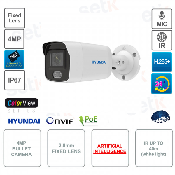 Caméra IP POE ONVIF® 4MP Bullet Couleur Vue 4MP - 2.8mm - Intelligence Artificielle
