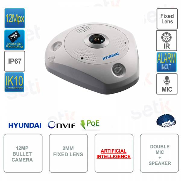 Caméra IP POE ONVIF® 12MP - Dôme Fisheye - Intelligence Artificielle - Objectif 2mm