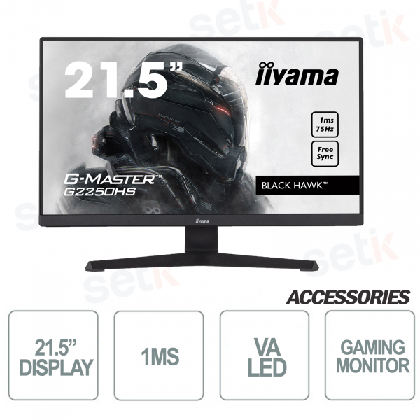 Moniteur 21,5 pouces Full HD 1 ms idéal pour les jeux - IIYAMA