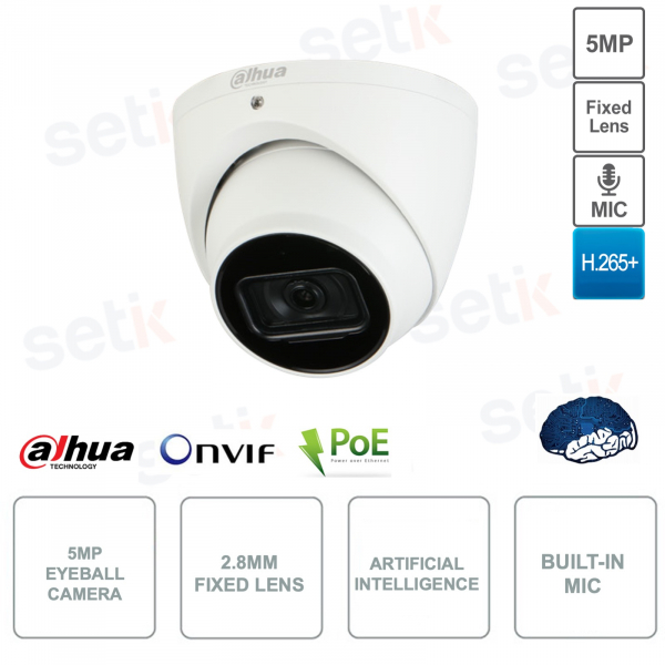 Cámara IP Eyeball POE ONVIF® - 5MP - 2.8mm - Inteligencia Artificial - S2