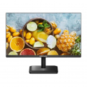 Moniteur E-LED 24 pouces - Full HD 1080p - 6,5 ms - Haut-parleur stéréo - Lecteur multimédia