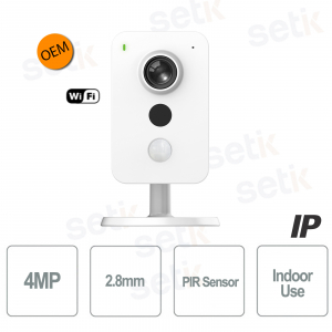 Interne Überwachung der Dahua IP-Kamera 4MP Tragbar mit WIFI PIR-Alarmsensor