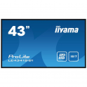 Moniteur IPS Iiyama 43 pouces - Affichage numérique - 1080p - Full HD - HDMI - VGA - Lecteur multimédia - LAN