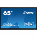 Interactive touchscreen monitor - VA Panel - 65 Inch - 4K Ultra HD - WIFI - iiWare 11