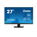 27 Zoll iiyama IPS LED-Monitor Full HD @100Hz ACR Vesa USB Hub