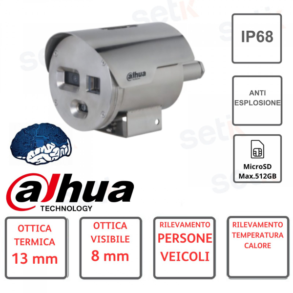 IP camera - thermal - anti-explosion - hybrid - video analysis - Dahua