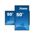 IIYAMA Prolite 50 Zoll UHD 4K Professioneller VA-Display-Monitor