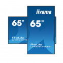 Iiyama - 65 inch monitor - 4K UHD - With speakers - For professional use