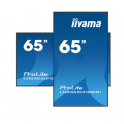 Iiyama - Monitor 65 pollici - 4K UHD - Con altoparlanti - Per uso professionale