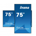 Iiyama - Monitor de 75 pulgadas - 4K UHD - Con altavoces - Para uso profesional
