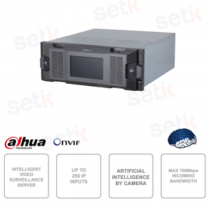 Used for video surveillance - 24 slots - 256 channels - 768Mbps bandwidth - Redundant power supply