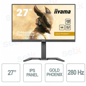 Monitor Gaming Gold Phoenix g-master 27 Pollici VA Panel - IIYAMA