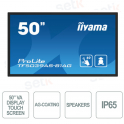 Monitor de pantalla táctil iiyama VA 4k UHD de 50 pulgadas y 40 puntos