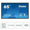 Monitor 65 pollici IPS LED 4K UHD Touchscreen 40 punti IP65 Speaker - IIYAMA