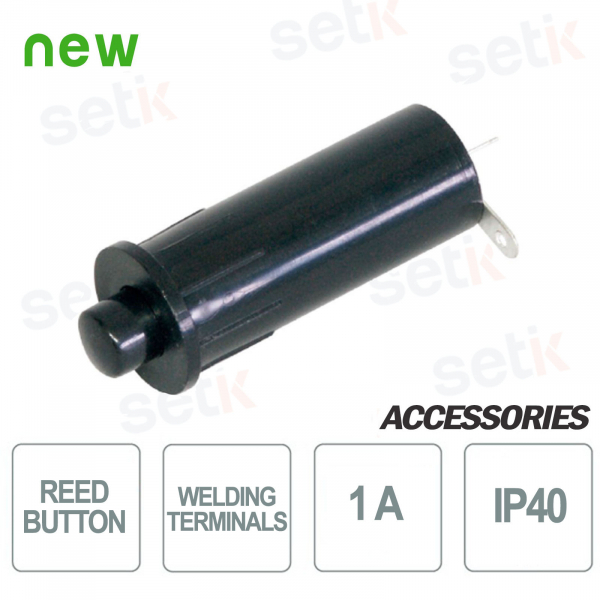 Reed Switch - CSA