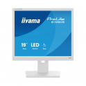copy of Monitor IIYAMA ProLite 19" Retroilluminato con regolazione altezza