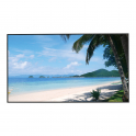 43 Pollici - LED - 4K Ultra HD - 24/7 - 8ms - VGA - HDMI - DP - Dahua