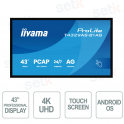 T4329AS-B1AG - IIYAMA - Monitor 43 pollici VA AG - 4K UHD - touchscreen