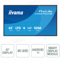 LH4375UHS-B2AG - 43" 4K UHD iiyama ProLite Monitor – Digital Signage 24/7 with Android 11
