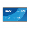 LH6575UHS-B2AG - Monitor 65" 4K iiyama ProLite – Android 11 e Digital Signage 24/7