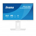 Monitor iiyama ProLite XUB2293HSU-W7 – Full HD 100Hz IPS con Cornice Ultra Sottile e Supporto Regolabile