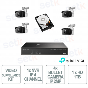 Kit videosorveglianza – 1 NVR + 4 telecamere bullet + 1 Hard disk 1TB - Vigi
