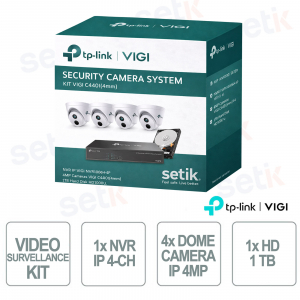 Video Surveillance Kit – 1 NVR + 4 Dome Cameras + 1 TB Hard Disk - Vigi
