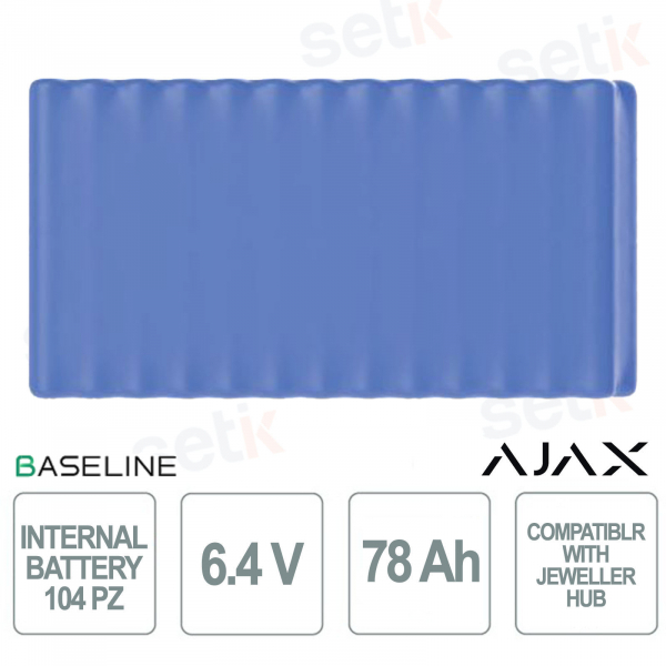 Batterie interne RB 6,4 V 78 Ah : Batterie longue durée pour BP Jeweler Hub