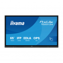 TE6513A-B2AG 65" 4K UHD, Google EDLA, Android 14, 40-point touch, WiFi-6E for schools and businesses - iiyama