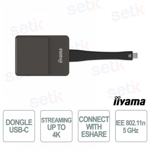WP D002C Interface de présentation sans fil USB-C 4K avec eShare, Wi-Fi 5 GHz, compatible Windows, Mac et Chrome OS - iiyama